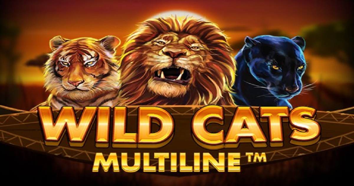 Вавала. Казино слот Дикая кошка. Wild Torro Slot. Wildcat Slots битва котов Вики. Cats gone Wild Slots.